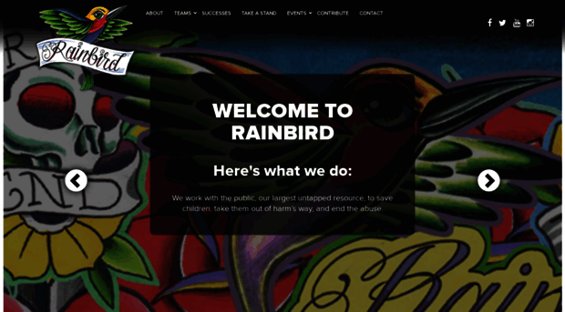 rainbirdfoundation.org