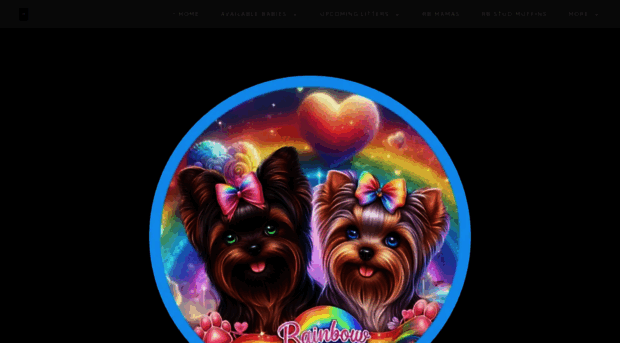 rainbowblissyorkies.com
