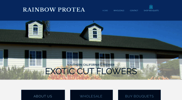 rainbowprotea.com