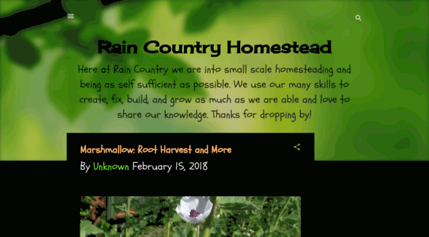 raincountryhomestead.blogspot.com