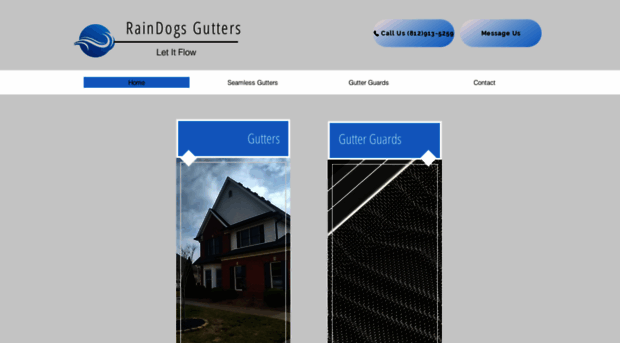raindogsguttercleaning.com