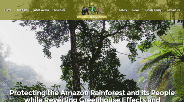 rainforest-guardians.org