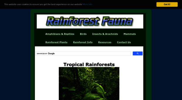 rainforestfauna.com