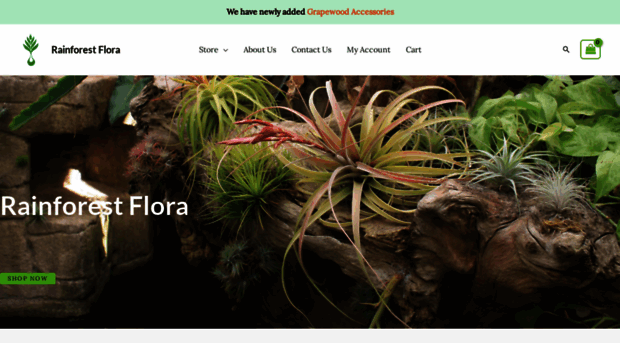 rainforestflora.com