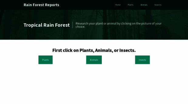 rainforestreports.weebly.com