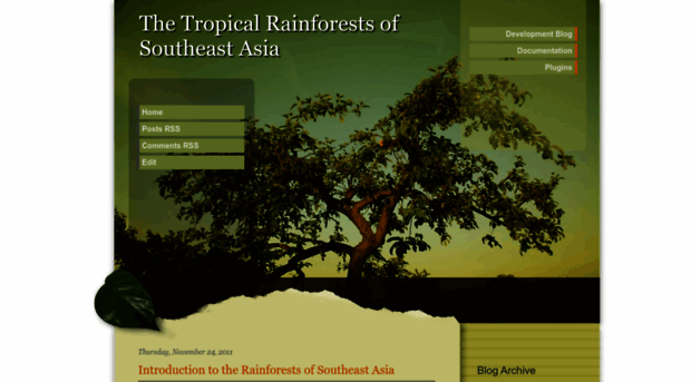 rainforestsasia.blogspot.com