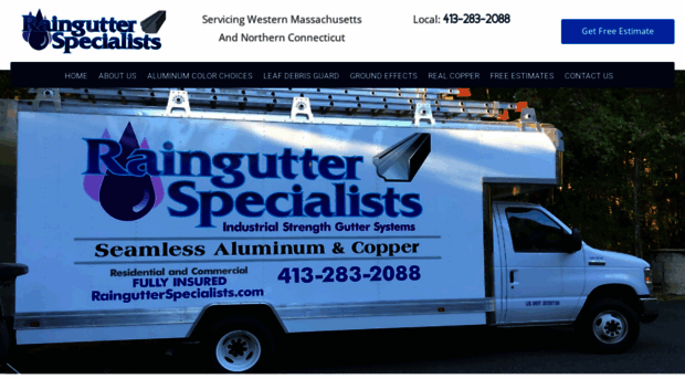 raingutterspecialists.com