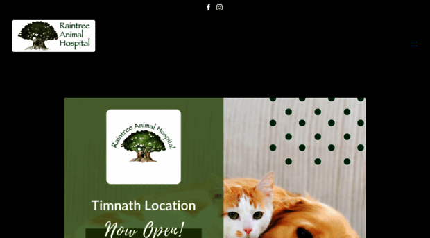 raintreepets.com