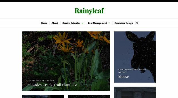rainyleaf.com