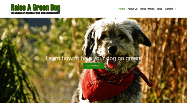 raiseagreendog.com