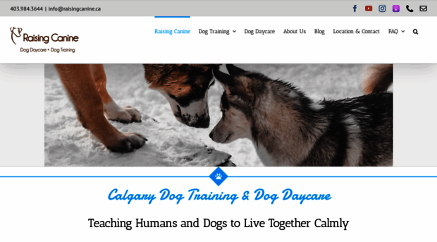 raisingcanine.ca