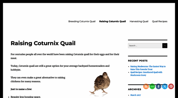 raisingcoturnixquail.com