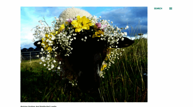 raisingorphanandbottlefedlambs.blogspot.com