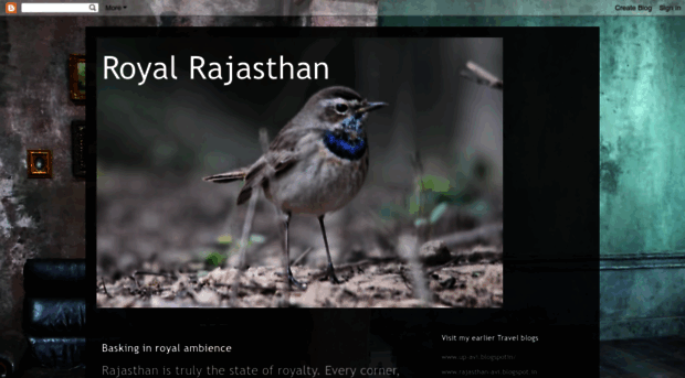 rajasthan-avi.blogspot.com