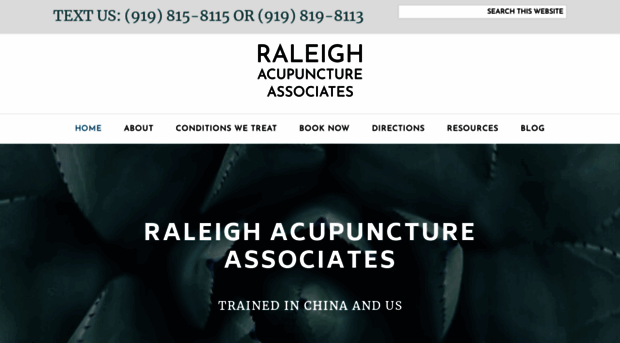 raleighacupunctureinc.com