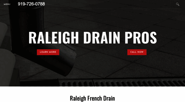 raleighdrainpros.com