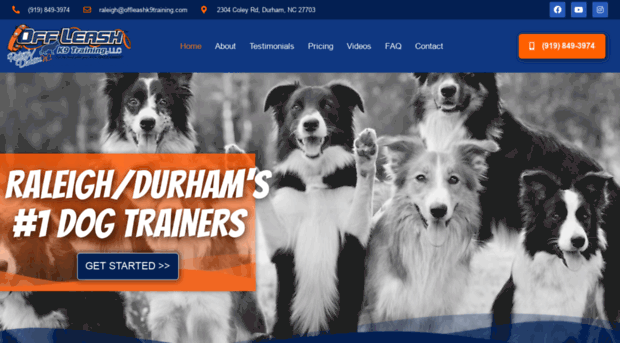 raleighncdogtrainers.com