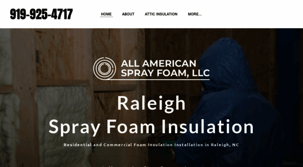 raleighsprayfoaminsulation.com