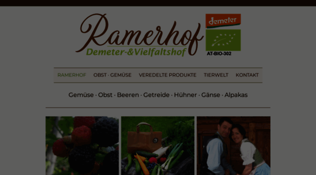 ramerhof.at