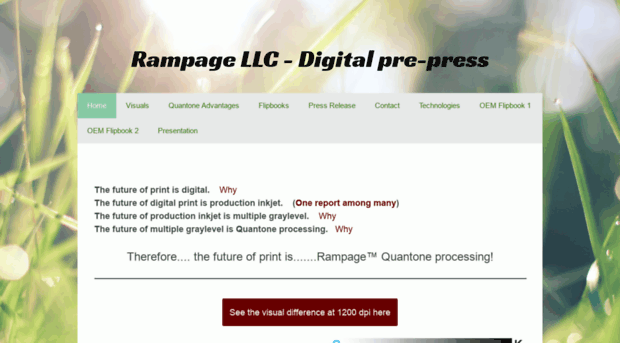 rampage-llc.com