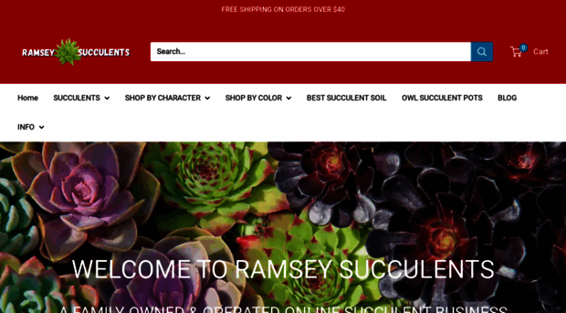 ramseysucculents.com