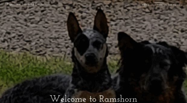 ramshornkennel.com