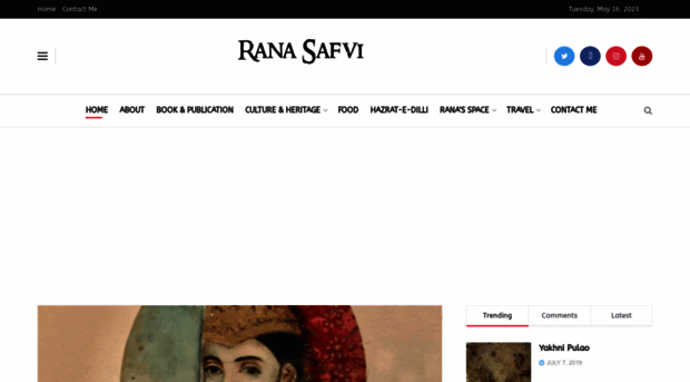 ranasafvi.com