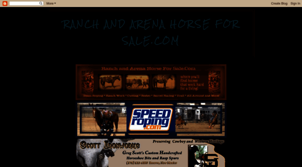 ranchandarenahorseforsale.blogspot.com