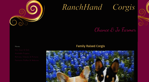 ranchhandcorgis.com