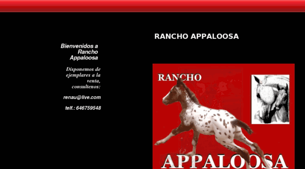 ranchoappaloosa.es