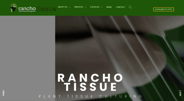 ranchotissue.com