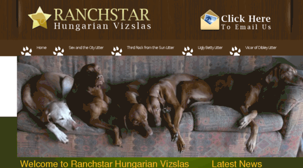 ranchstar-vizslas.co.uk