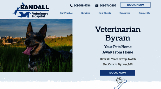 randallvetclinic.com