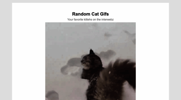 randomcatgifs.com