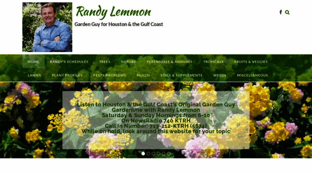 randylemmon.com