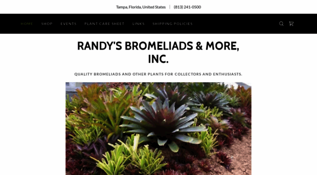 randysbromeliads.com