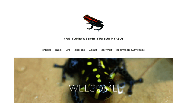 ranitomeya.com