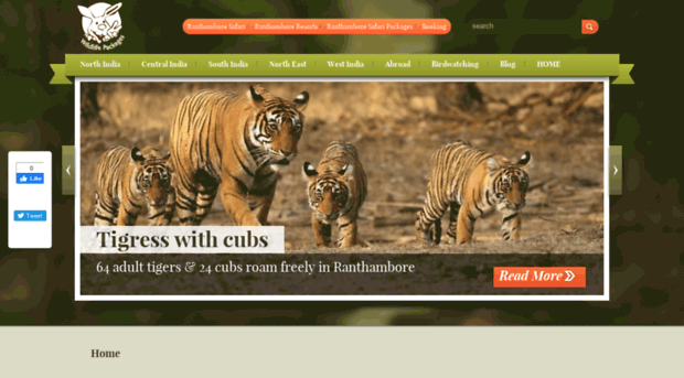 ranthambore-national-park.wildlifepackages.in