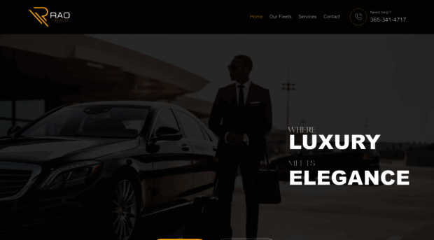 raolimousineservices.com