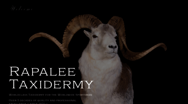 rapaleetaxidermy.com