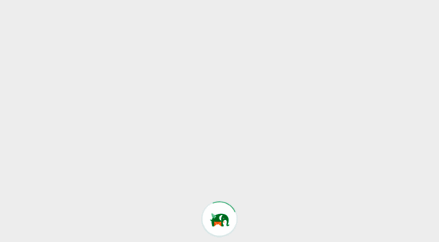 rapid.com.vn