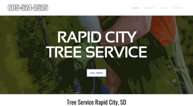 rapidcitytreepros.com