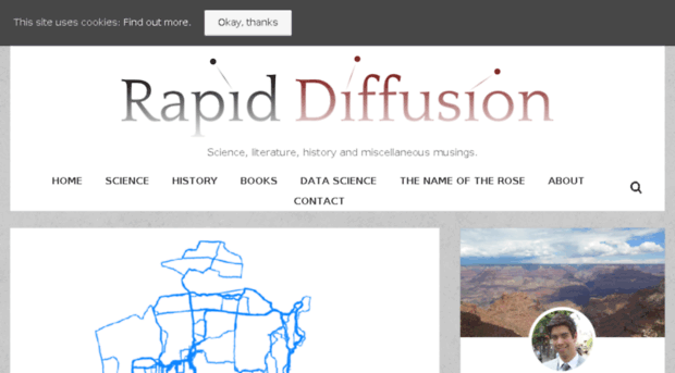 rapiddiffusion.com