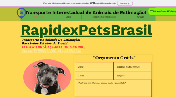 rapidexpetsbrasil.com.br