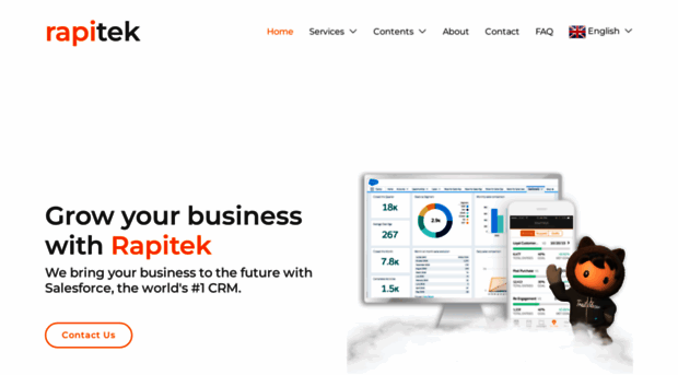 rapitek.com
