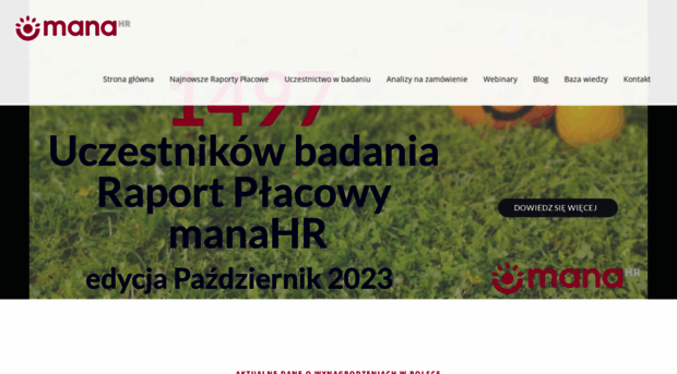 raportplacowy.pl