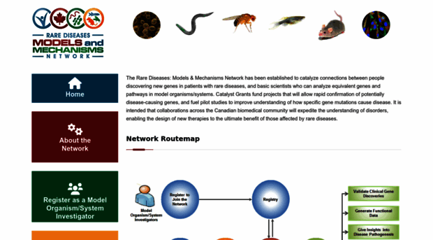 rare-diseases-catalyst-network.ca