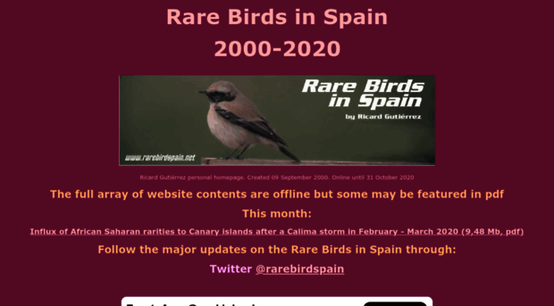 rarebirdspain.net