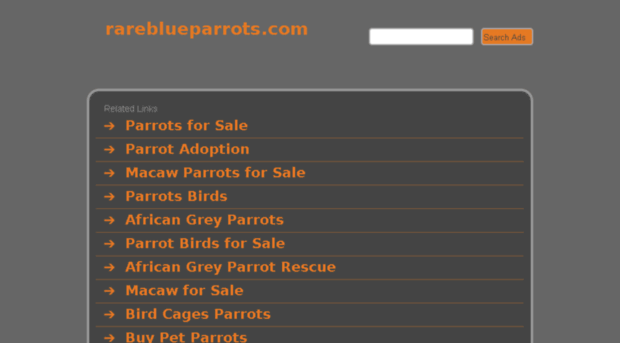 rareblueparrots.com