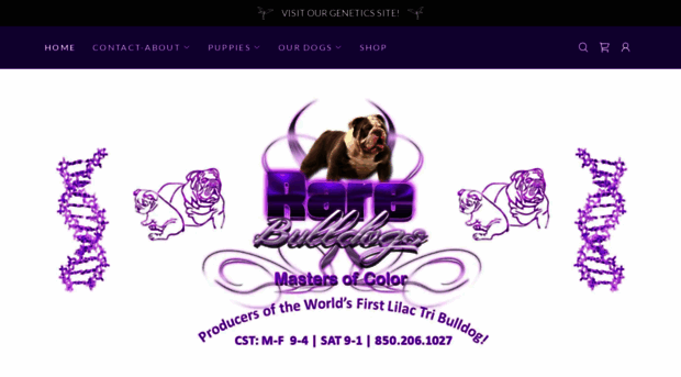 rarebulldogs.com